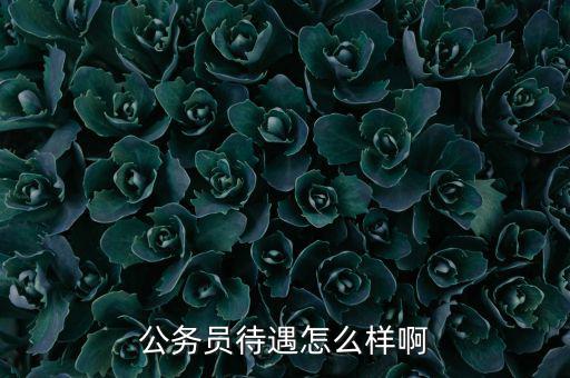 公務(wù)員待遇怎么樣啊