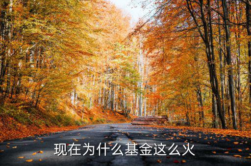 現(xiàn)在為什么基金這么火