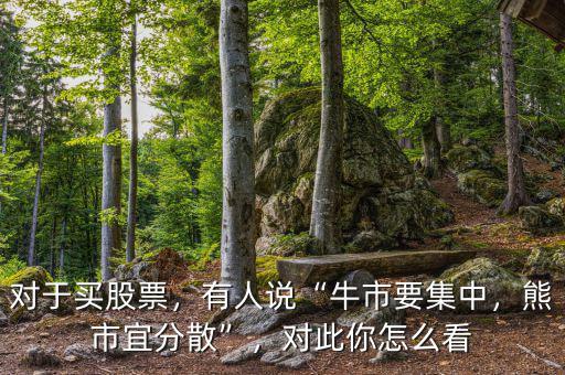 對(duì)于買股票，有人說“牛市要集中，熊市宜分散”，對(duì)此你怎么看