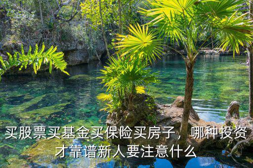買(mǎi)股票買(mǎi)基金買(mǎi)保險(xiǎn)買(mǎi)房子，哪種投資才靠譜新人要注意什么