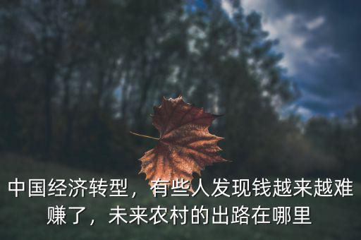 中國經(jīng)濟(jì)轉(zhuǎn)型，有些人發(fā)現(xiàn)錢越來越難賺了，未來農(nóng)村的出路在哪里