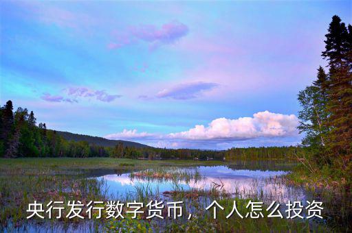 央行發(fā)行數字貨幣，個人怎么投資
