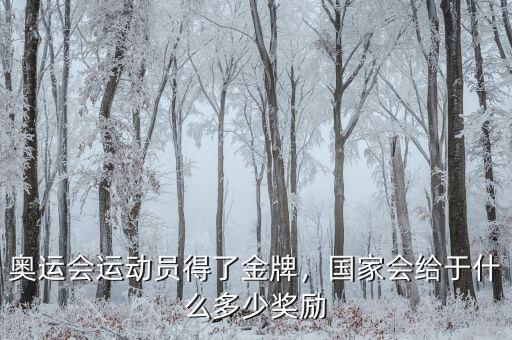 奧運(yùn)會(huì)運(yùn)動(dòng)員得了金牌，國(guó)家會(huì)給于什么多少獎(jiǎng)勵(lì)