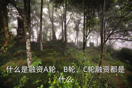 什么是融資A輪、B輪、C輪融資都是什么