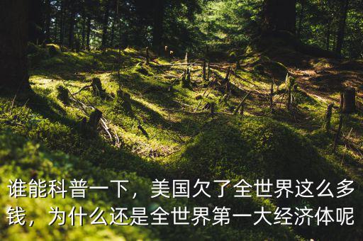 誰(shuí)能科普一下，美國(guó)欠了全世界這么多錢，為什么還是全世界第一大經(jīng)濟(jì)體呢