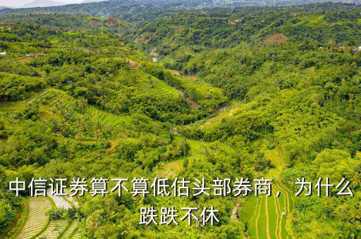 中信證券算不算低估頭部券商，為什么跌跌不休