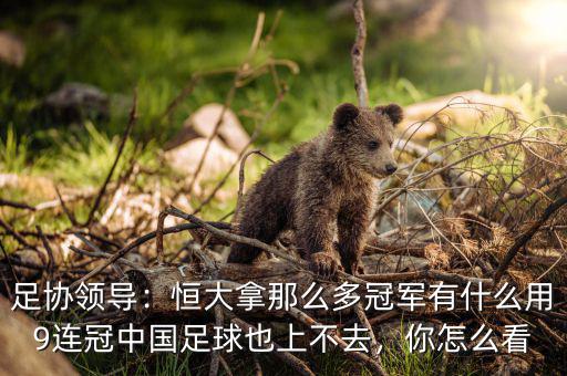 足協(xié)領(lǐng)導(dǎo)：恒大拿那么多冠軍有什么用9連冠中國(guó)足球也上不去，你怎么看