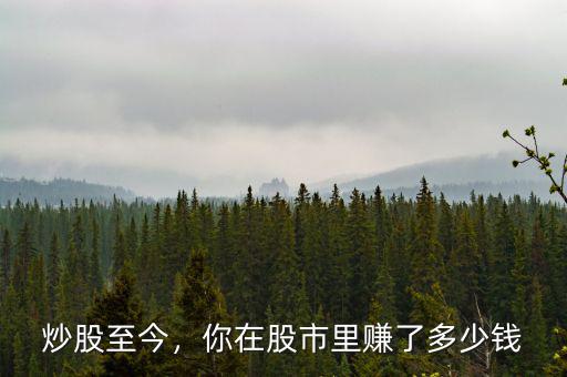 這次股災(zāi)你賠了多少,你炒股虧了多少錢