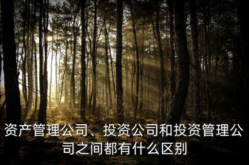 資產(chǎn)管理公司、投資公司和投資管理公司之間都有什么區(qū)別