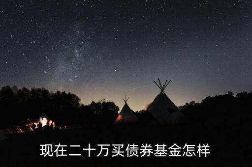 現(xiàn)在買(mǎi)純債債券基金怎么樣,現(xiàn)在二十萬(wàn)買(mǎi)債券基金怎樣