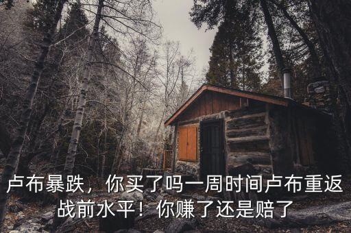 盧布暴跌，你買了嗎一周時間盧布重返戰(zhàn)前水平！你賺了還是賠了