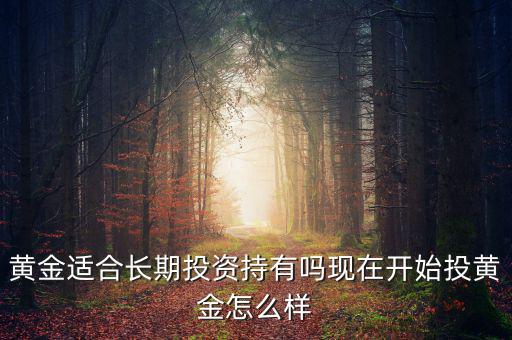 網絡黃金投資怎么樣,現(xiàn)在開始投黃金怎么樣