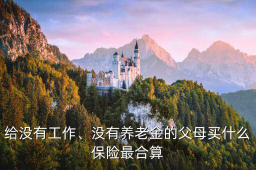 給沒(méi)有工作、沒(méi)有養(yǎng)老金的父母買什么保險(xiǎn)最合算