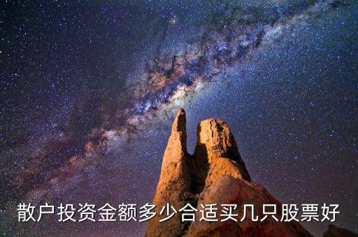 散戶投資金額多少合適買(mǎi)幾只股票好