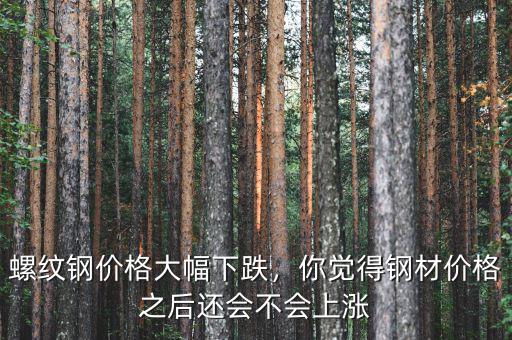 螺紋鋼價(jià)格大幅下跌，你覺得鋼材價(jià)格之后還會(huì)不會(huì)上漲