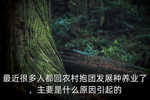 最近很多人都回農(nóng)村抱團(tuán)發(fā)展種養(yǎng)業(yè)了，主要是什么原因引起的