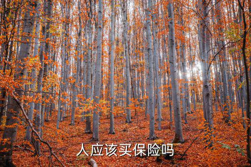 什么人需要買保險(xiǎn),人應(yīng)該買保險(xiǎn)嗎
