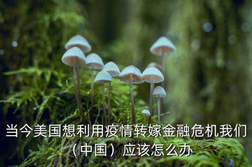 當今美國想利用疫情轉(zhuǎn)嫁金融危機我們（中國）應(yīng)該怎么辦