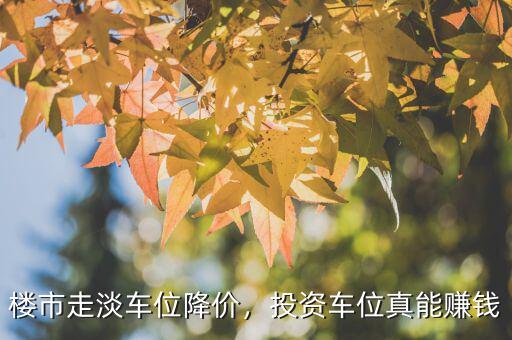 樓市走淡車(chē)位降價(jià)，投資車(chē)位真能賺錢(qián)