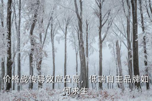 價格戰(zhàn)傳導效應凸顯，低端自主品牌如何求生