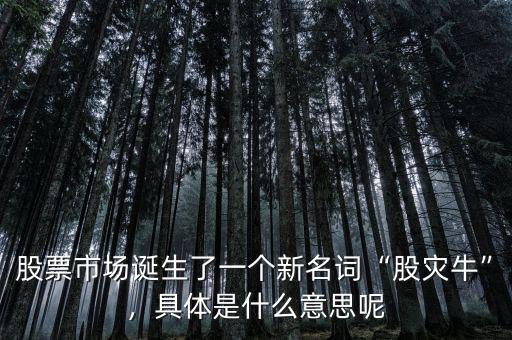 股票市場誕生了一個新名詞“股災?！保唧w是什么意思呢