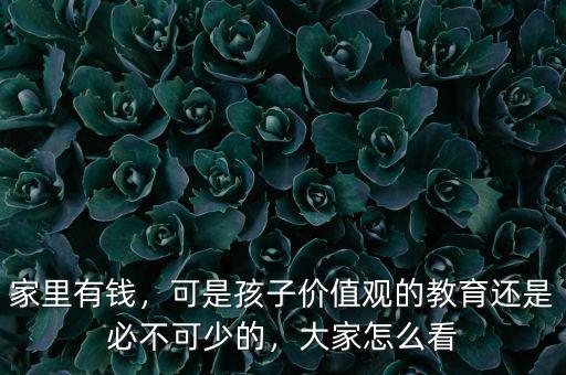 家里有錢，可是孩子價值觀的教育還是必不可少的，大家怎么看