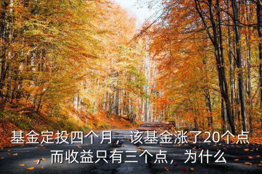 基金定投四個(gè)月，該基金漲了20個(gè)點(diǎn)，而收益只有三個(gè)點(diǎn)，為什么