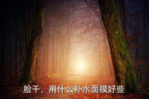 臉干，用什么補(bǔ)水面膜好些
