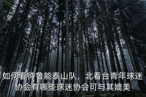 如何看待魯能泰山隊(duì)，北看臺(tái)青年球迷協(xié)會(huì)有哪些球迷協(xié)會(huì)可與其媲美