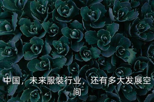 中國(guó)，未來(lái)服裝行業(yè)，還有多大發(fā)展空間