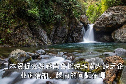 日本貿(mào)促會(huì)駐越南會(huì)長(zhǎng)說(shuō)越南人缺乏企業(yè)家精神，越南的問題在哪