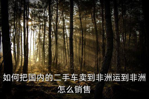 賣什么到非洲,到非洲做什么生意好
