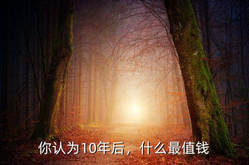 你認(rèn)為10年后，什么最值錢