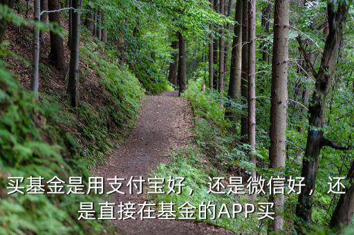買(mǎi)基金是用支付寶好，還是微信好，還是直接在基金的APP買(mǎi)