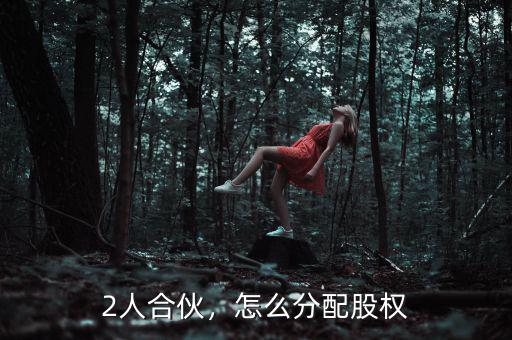 2人合伙，怎么分配股權(quán)