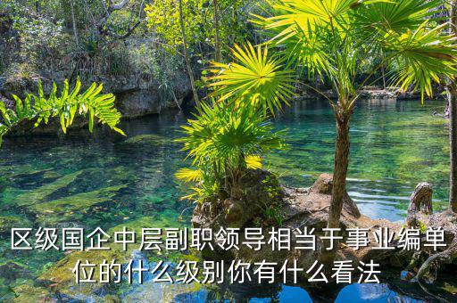 國企部長是什么級(jí)別,國企高層屬于什么級(jí)別