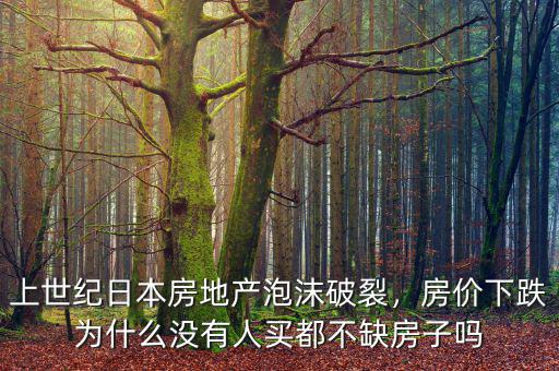 上世紀(jì)日本房地產(chǎn)泡沫破裂，房價(jià)下跌為什么沒有人買都不缺房子嗎