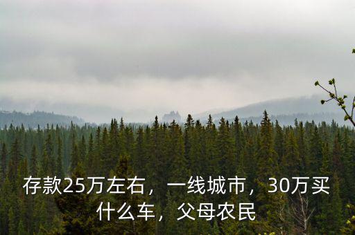 存款25萬左右，一線城市，30萬買什么車，父母農(nóng)民