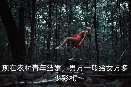 現(xiàn)在結(jié)婚男方給女方多少財(cái)理錢(qián),男方給女方多少彩禮才合適