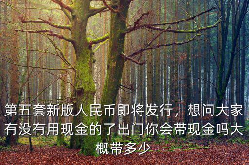 第五套新版人民幣即將發(fā)行，想問(wèn)大家有沒(méi)有用現(xiàn)金的了出門(mén)你會(huì)帶現(xiàn)金嗎大概帶多少