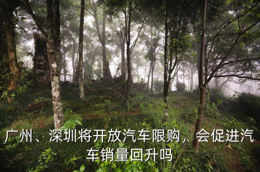 廣州、深圳將開放汽車限購，會促進汽車銷量回升嗎