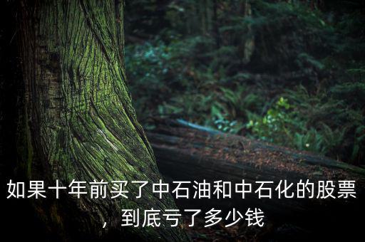 如果十年前買了中石油和中石化的股票，到底虧了多少錢