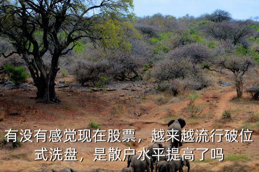 有沒有感覺現(xiàn)在股票，越來越流行破位式洗盤，是散戶水平提高了嗎