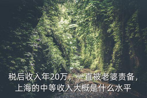 稅后收入年20萬，一直被老婆責(zé)備，上海的中等收入大概是什么水平