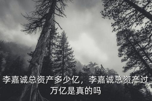 李嘉誠(chéng)總資產(chǎn)多少億，李嘉誠(chéng)總資產(chǎn)過(guò)萬(wàn)億是真的嗎