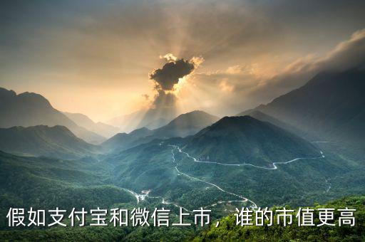 假如支付寶和微信上市，誰(shuí)的市值更高
