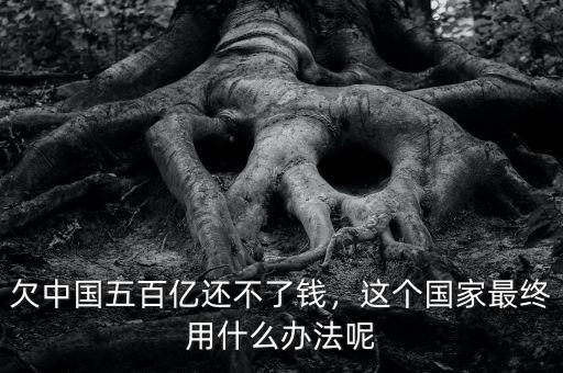 欠中國(guó)五百億還不了錢，這個(gè)國(guó)家最終用什么辦法呢