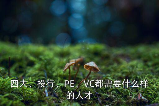 四大、投行、PE、VC都需要什么樣的人才