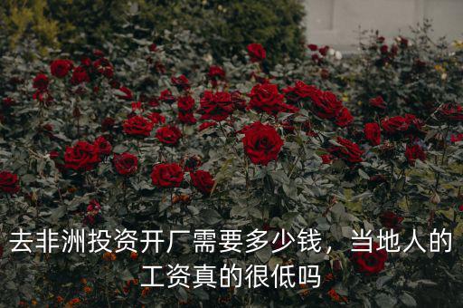 去非洲投資開廠需要多少錢，當(dāng)?shù)厝说墓べY真的很低嗎