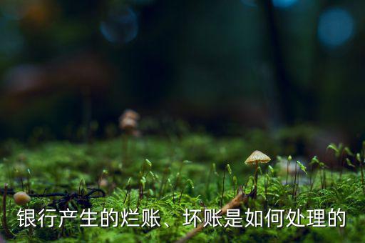 銀行產(chǎn)生的爛賬、壞賬是如何處理的